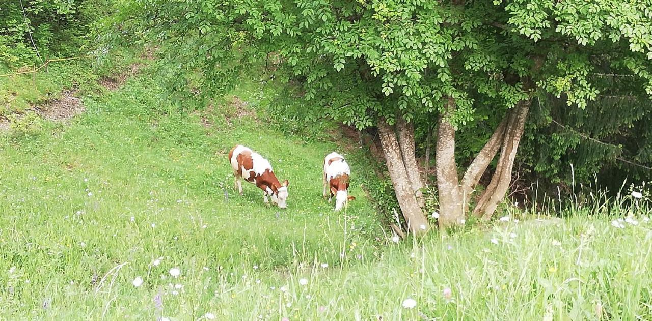 Agriturismo Ferienhof Gschloier (Adults Only) Laion Εξωτερικό φωτογραφία